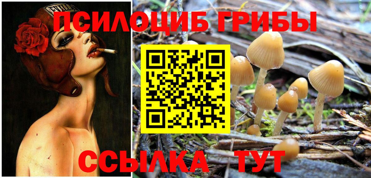 Псилоцибиновые грибы Magic Shrooms  Вход с VPN  Кизляр  Псилоцибиновые грибы прущие грибы 